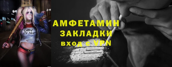 ГАЛЛЮЦИНОГЕННЫЕ ГРИБЫ Осинники