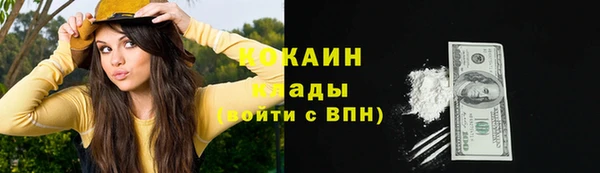 ГАЛЛЮЦИНОГЕННЫЕ ГРИБЫ Осинники