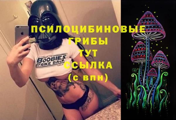 спиды Болотное