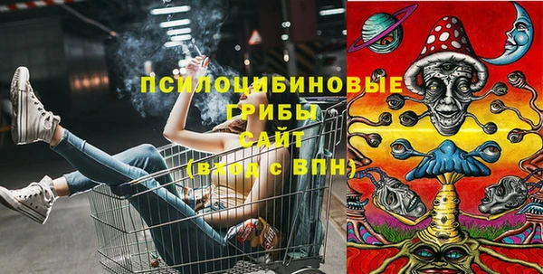 прущие крисы Няндома