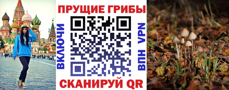 Псилоцибиновые грибы мицелий  даркнет сайт  Красноармейск 