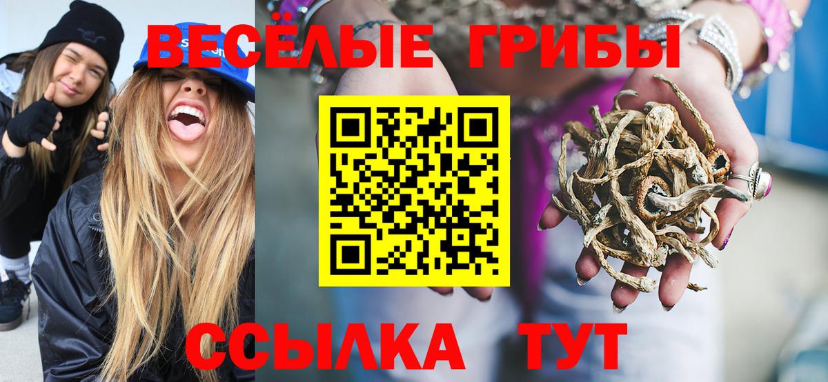 Галлюциногенные грибы GOLDEN TEACHER  Вход с VPN  Красноармейск  Псилоцибиновые грибы Psilocybe 